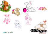 lapin