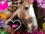 love pony hidden creepy