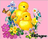 canard