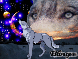 les loups