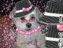 missmonroe406