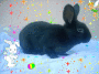 happy easter happy easter