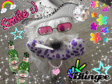 Toby The Hippy Westie Toby The Hippy Westie
