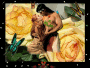 Native Rose