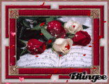 red rose petals falling