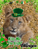 Irish Lion