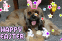 Baxter