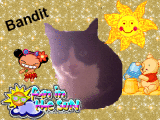 bandit_summer
