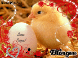 BuonaPasqua
