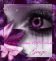 1000visite 1000visite