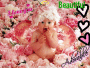 baby2
