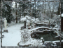 NEIGE