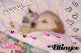 shhhhhh ......cute