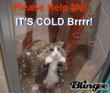 ITS COLD BRRRRR