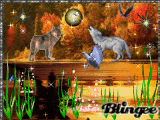 Wolf's Kingdom