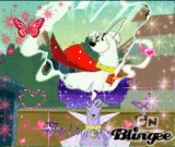 brainy and krypto