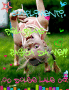 bel blog!!