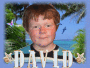 david