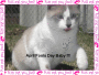 April fool day