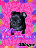 Cute... But Psycho
