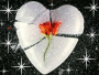 broken heart