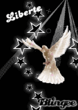 Liberte/freedom