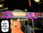 funny cat 