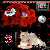 branka53