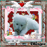 branka53