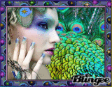 peacock lady peacock lady