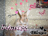 kiwiloveII