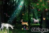 Da ist mal wieder ne menge los im Wald