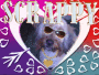 My doggy
