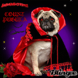 COUNT PUGULA