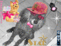 Pop star