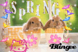 Spring is HERE 