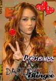 hannah montana 