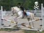 pony