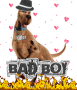 ♥Scooby-Doo Luvers♥