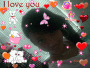 Love Me, Love Me NOT