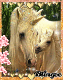 Springtime a Magical time ~ for KMBJTH