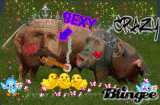 branka53