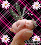 butercup1
