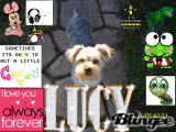 lucy!