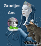 bol-ans