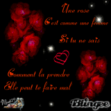 rose