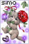 MY GATTINO PUCCIOSO