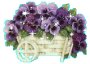 violet