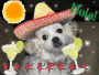 cinco de mayo