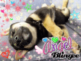 sleeping cutie sleeping cutie